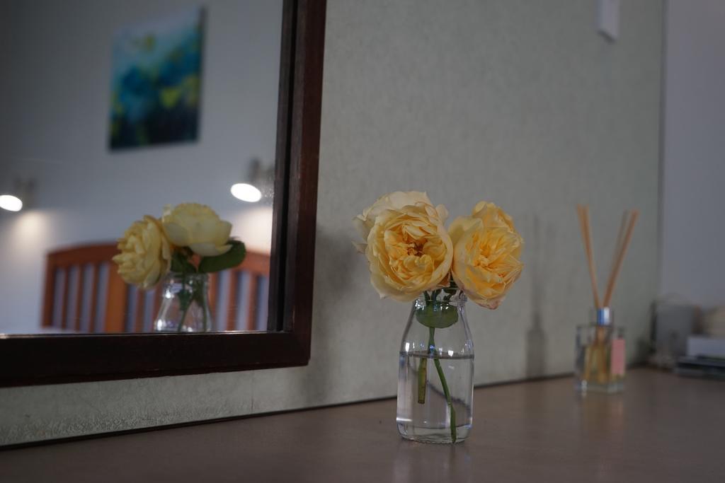 Tui Lodge Motel Κράισττσερτς Εξωτερικό φωτογραφία